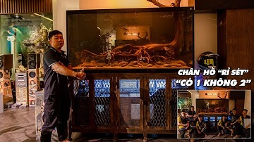 Lắp đặt HỒ CÔNG NGHỆ "CHÂN RỈ SÉT CỔ XƯA" siêu Độc Lạ tại chung cư Quận 7 | Jarvis Tank