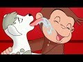 Curious george old mcgeorgie had  a farm  kids cartoon  kids movies s for kids