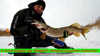видео: ОСТАВИЛ ЖЕРЛИЦЫ НА НОЧЬ И НЕ ПРОГАДАЛ!!! ЩУКИ НЕ ПРОХОДЯТ В ЛУНКУ! ОТЛИЧНАЯ РЫБАЛКА НА ЖЕРЛИЦЫ 2025. картинка: ОСТАВИЛ ЖЕРЛИЦЫ НА НОЧЬ И НЕ ПРОГАДАЛ!!! ЩУКИ НЕ ПРОХОДЯТ В ЛУНКУ! ОТЛИЧНАЯ РЫБАЛКА НА ЖЕРЛИЦЫ 2025.