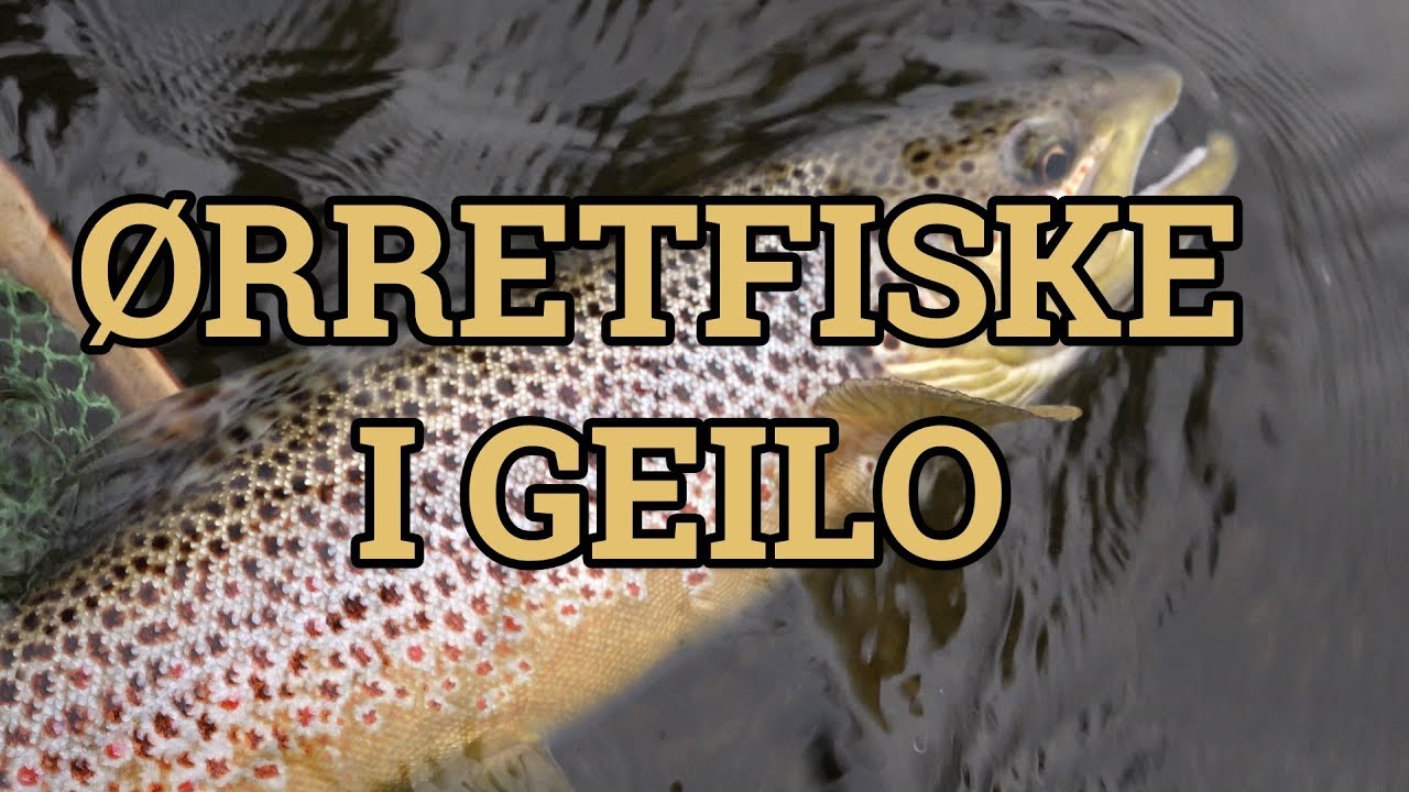 Ørretfiske i Geilo - Familievennlig fjellfiske i vann og elv