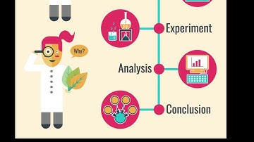 Draw Conclusions Based on Data