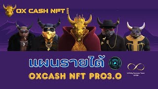 Oxcash NFT Pro แผนรายได้