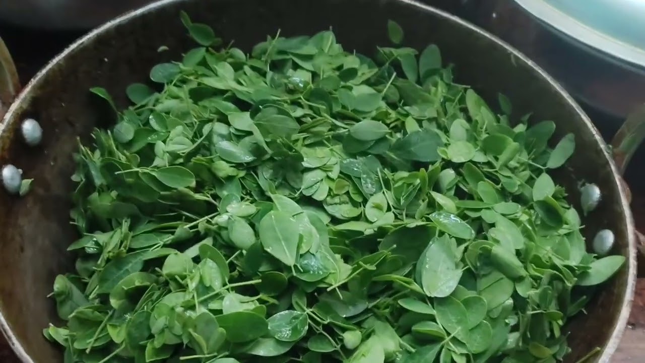 #murungai keerai #how to cook tasty 🤤#iron rich food#tamil 