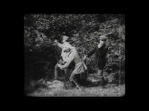 Desperate Poaching Affray — трейлер