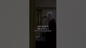 بعيـداً عن ضجيـج الحيـاة 🖤 | القارئ : محمد أبا الحسن