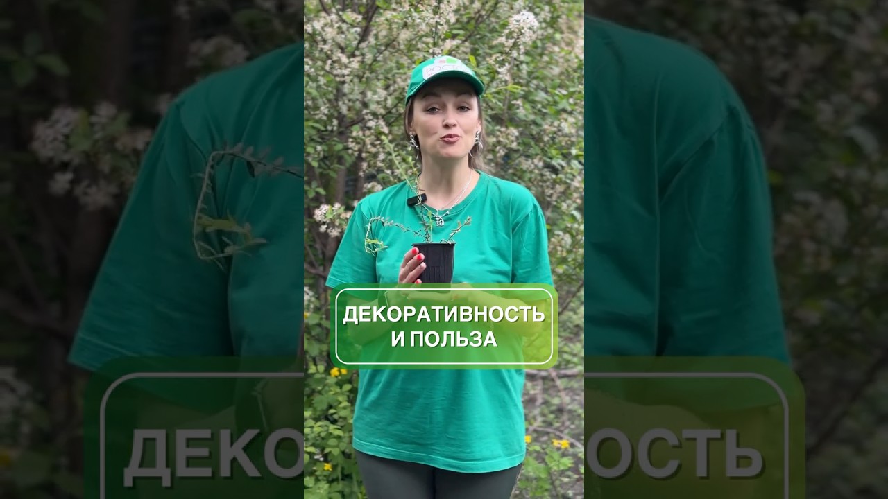 Декоративность и польза в одной ягоде 💚