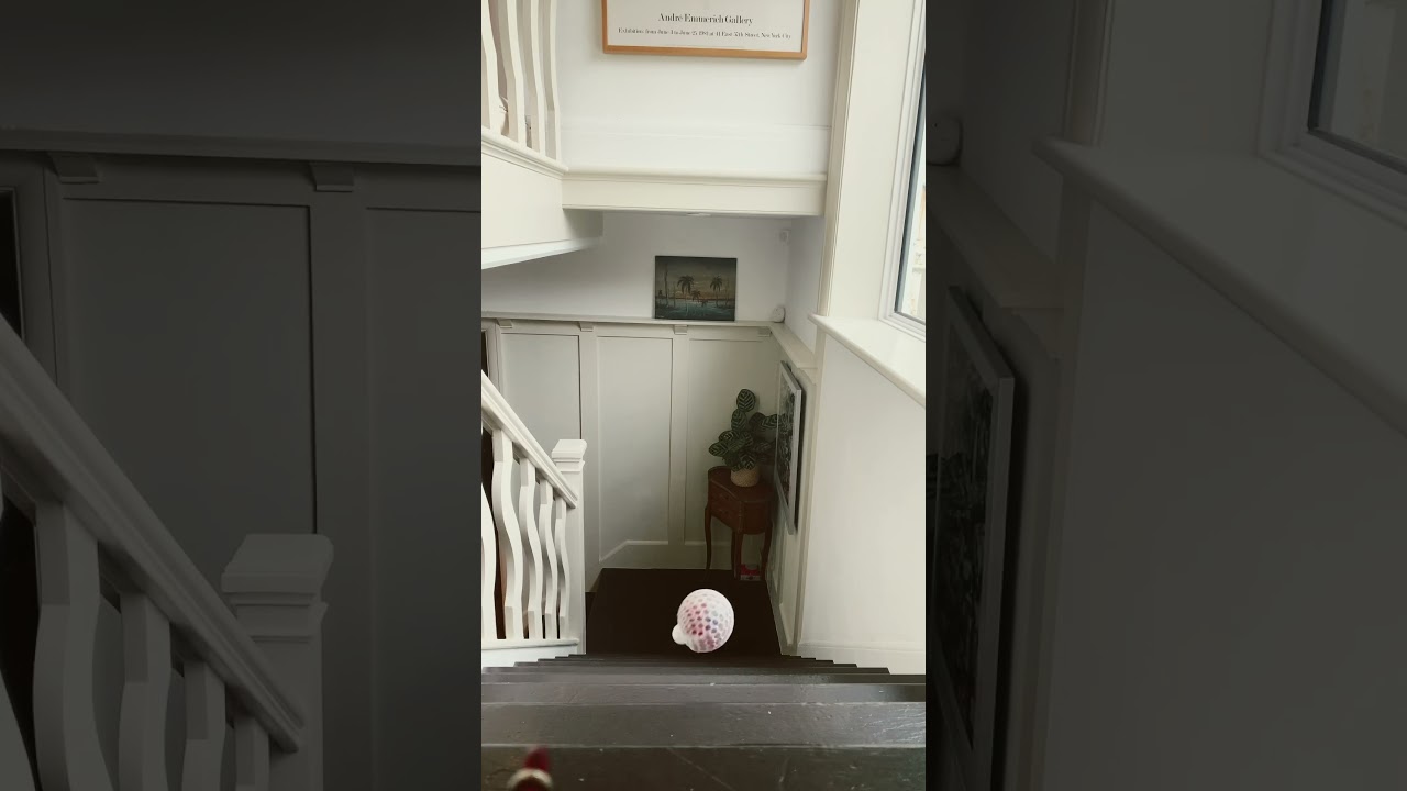 Stress ball rolling down stairs