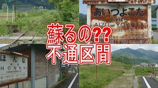 【駅に行って来た】JR東日本只見線不通区間の六駅は今、こんな状態だった！