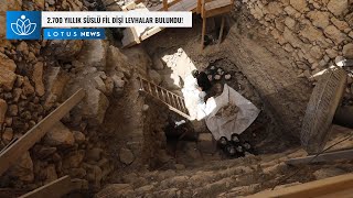 2 700 Yillik Süslü Fi̇l Di̇şi̇ Levhalar Bulundu