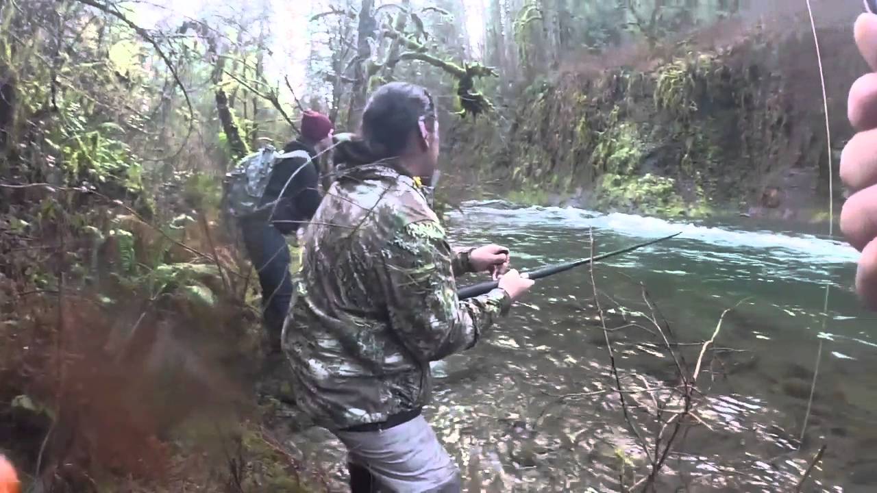 Intense Winter Steelhead Fishing 2016