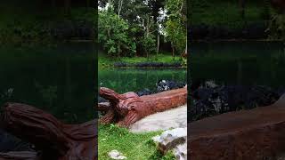 Emerald Pool, Tham Luang-Khun Nam Nang Non