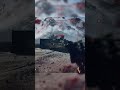 Man vs Tank #bf6beta #gaming