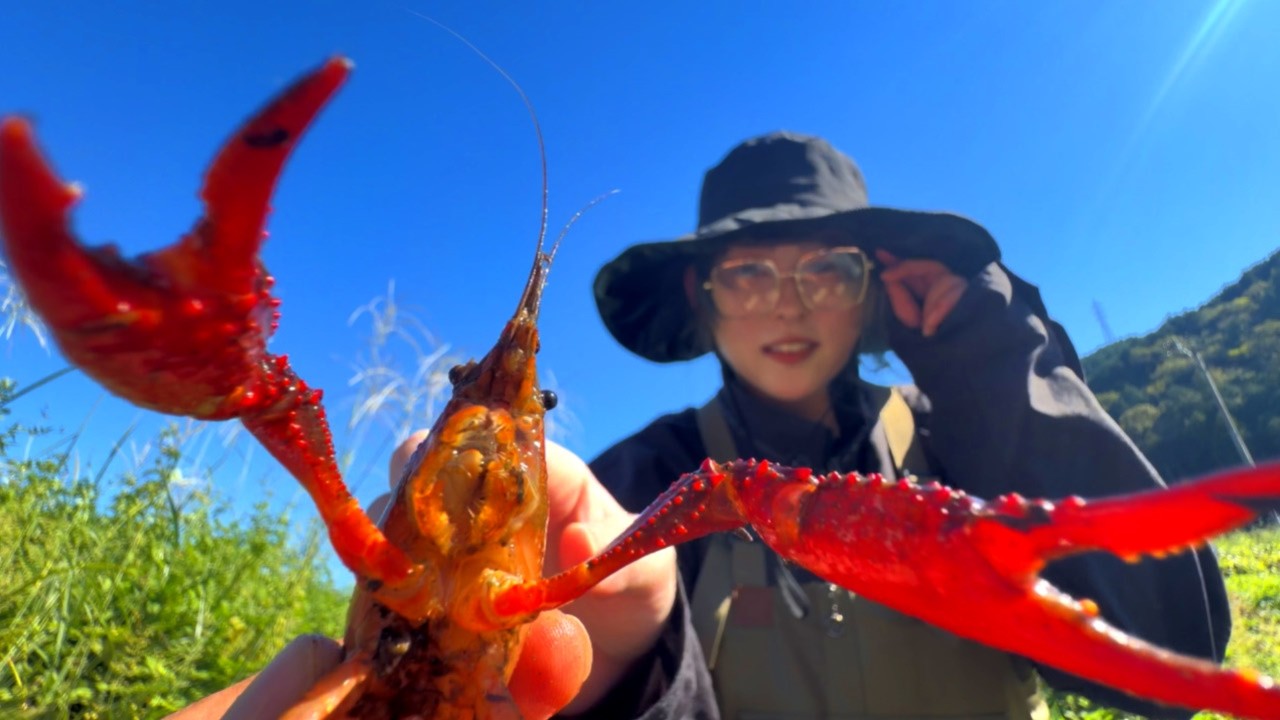 日本の小川はアメリカザリガニに占領されている事が明確になりました