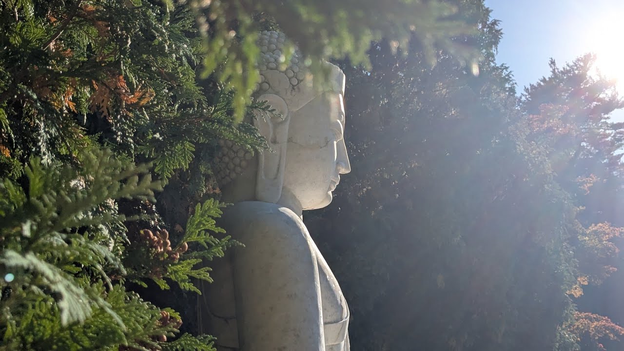 How to be Close to the Buddha with Sāmaṇera Nipako