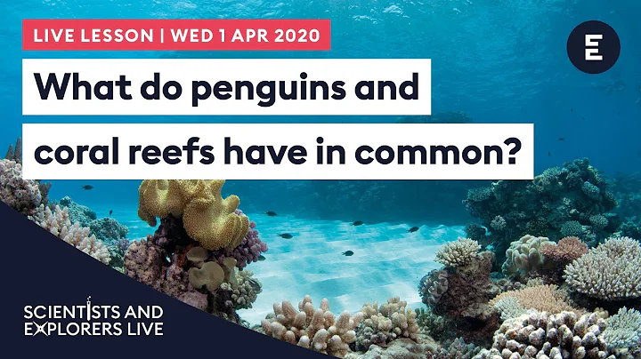 SCIENTISTS AND EXPLORERS LIVE - What do Penguins and Coral Reefs have in common? With Marji Puotinen