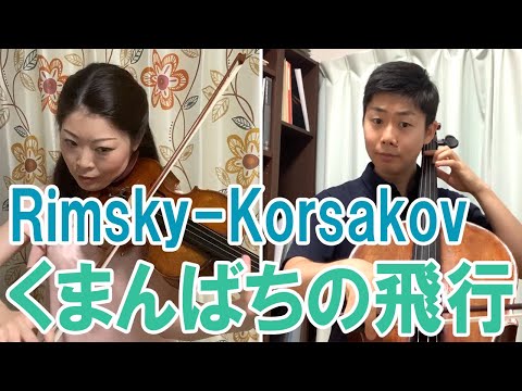 【テレワーク】リムスキー・コルサコフ：くまんばちの飛行【弾いてみた】印田千裕＆印田陽介 Rimsky-Korsakov/Flight of the Bumblebee