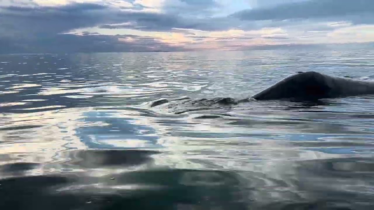 19 января 2026 г.