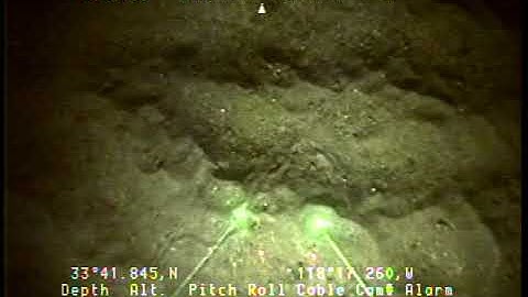 O-1-04-SC_Tape65-Vertical-2.mp4