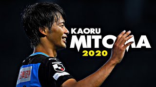 Kaoru Mitoma(三笘薫) ● Crazy Dribbling Skills & Goals ● 2020｜HD