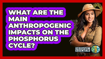 What Are The Main Anthropogenic Impacts On The Phosphorus Cycle? - Ecosystem Essentials