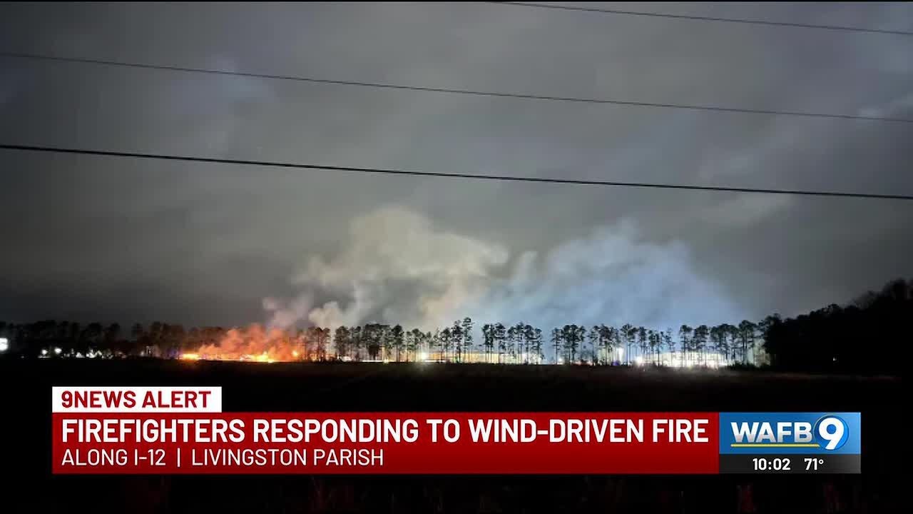 Firefighters responding to wind-driven fire along I-12 in Livingston ...