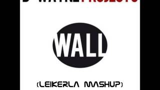 D-Wayne vs Mell Tierra - Project Boomerang (LeikerLA MashUp)