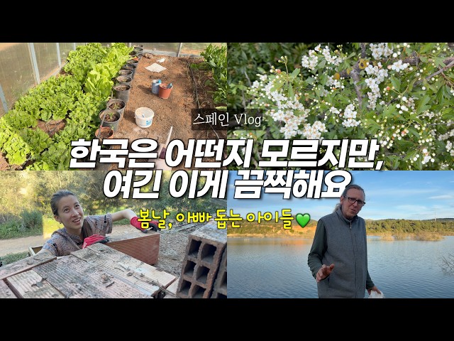 지중해 봄 산책, 한국은 어떤지 모르겠지만, 스페인은 이게 문제예요 😅