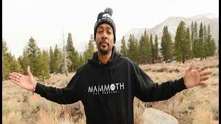 Famous A.I. Bone Thugs - Krayzie Bone - Spread Your Wings Profile