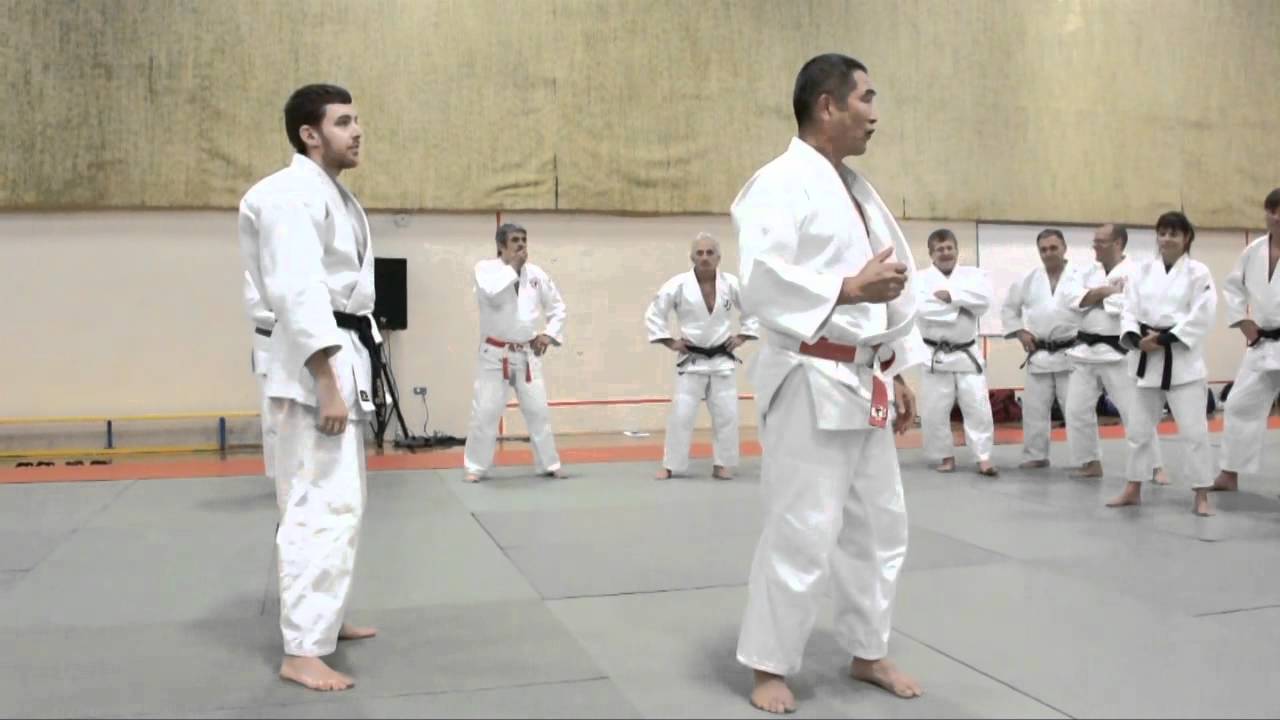 Katanishi O Uchi Gari et balayages