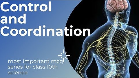 CBSE Class 10 Science Chapter 7 “control and coordination” Important MCQs | Class 10 Science