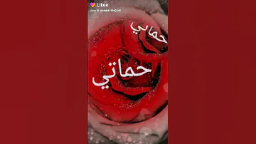 الله ليحرمني منك حبيبي حماتي روحي 