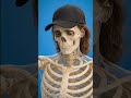 Does Wearing a Hat Cause Hair Loss? (365 Day Reality) #viral #trending #ai