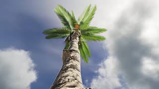 How To Make COCONOUT FLASK || STRANDED DEEP