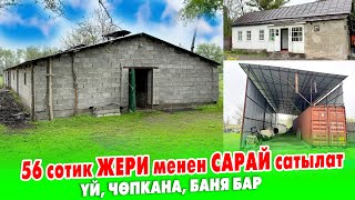 60 баш БУКА баткан САРАЙ сатылат  ~ Жери 56 сотик. Үй, чѳпкана, баясы бар