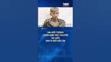 Hai đối tượng cướp giật dây chuyền sa lưới sau 11 giờ gây án | Báo Điện tử VOV