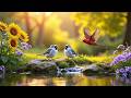 Soft Birdsong &amp; Gentle Piano 🌿 Peaceful Nature Morning ✨ Relax Your Mind &amp; Sleep Deeply