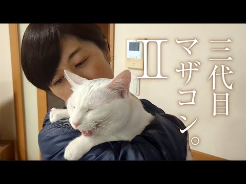 残1。猫の親子 イギリス製 When a former stray cat and her kitten were let out of their