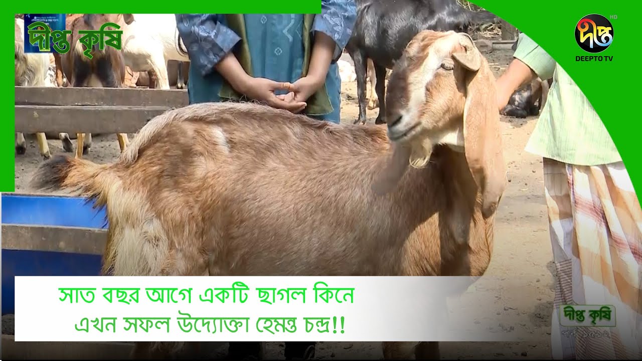 Porno lavman Sevgisiz uzoq muddatli jinsiy aloqalar