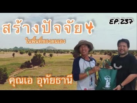 สร้างปัจจัย4ในพื้นที่ยังไงก ต้นไม้เท่านั้นที่จะช่วยได้ l คนรักษ์ป่า EP.243