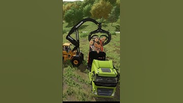 Loading Logs with Volvo L200H Loader