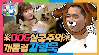 [마리텔1] 댕댕이때문에 살짝 설렜어 개통령 강형욱 방송 (feat. 애견 초보 오마이걸 유아)