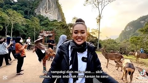 AI generated Malaysian cable car video misleads an elderly couple