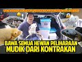 BAWA SEMUA HEWAN PELIHARAAN MUDIK DARI KONTRAKAN KE RUMAH AKU! MOBIL AKU PENUH BANGET BAWA MEREKA!