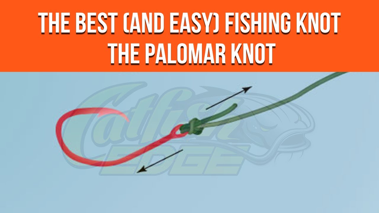 Palomar Knot For Fishing - Simple Knot For Catfishing 