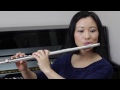 Perfect - Ed Sheeran Flute Cover