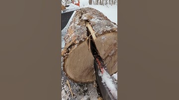 Satisfying Crisp Dramatic Log Splitting Therapy 😁 #shorts