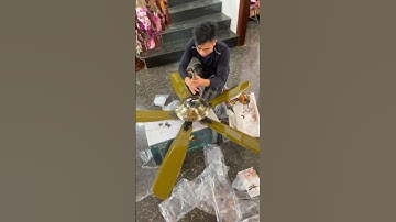 Quạt 5 cánh màu đồng lắp trần gỗ cực đẹp ạ#tuanbinh #quattran