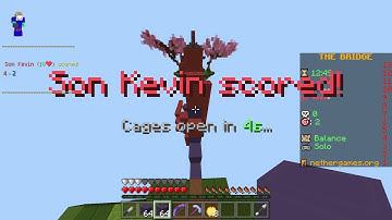 JUST BEAT A HACKER FEELING GOOD(Nethergames Bridge)