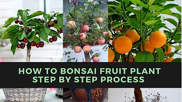 Do bonsai trees produce fruit?