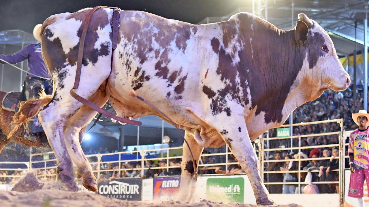 Rodeio da FICAR de Assis 2022 (QUINTA / MELHORES MOMENTOS) 11ª Etapa ...